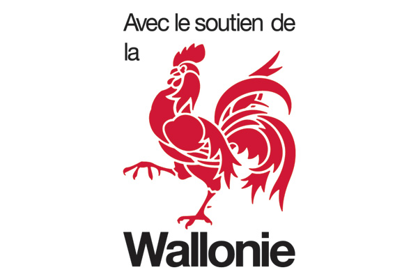 Logo Wallonie